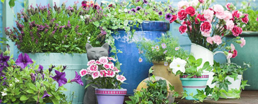 head container gardens