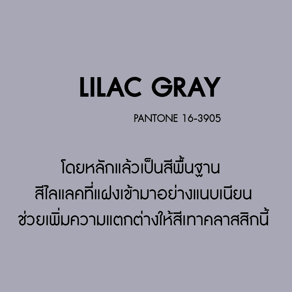 LilacGray