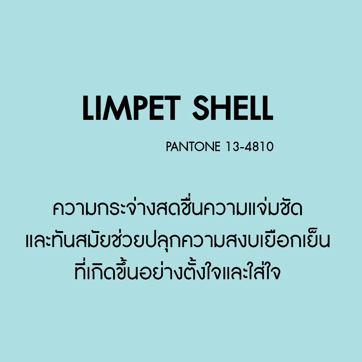 LimpetShell