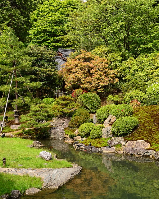japan garden13