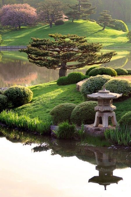 japan garden15