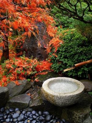 japan garden16