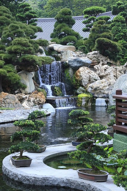 japan garden3