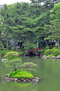 japan garden9