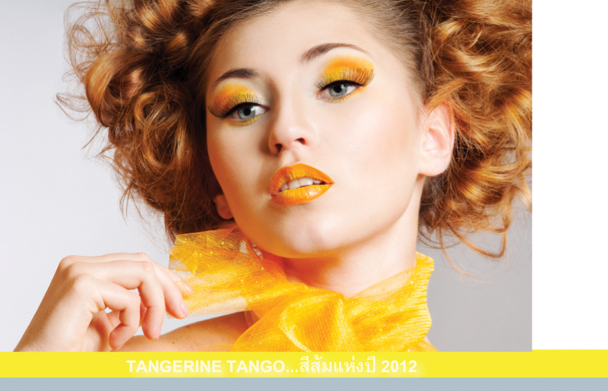บริษัท บาริโอ จำกัด รับออกแบบตกแต่งภายใน TANGERINE TANGO...สีส้มแห่งปี 2012