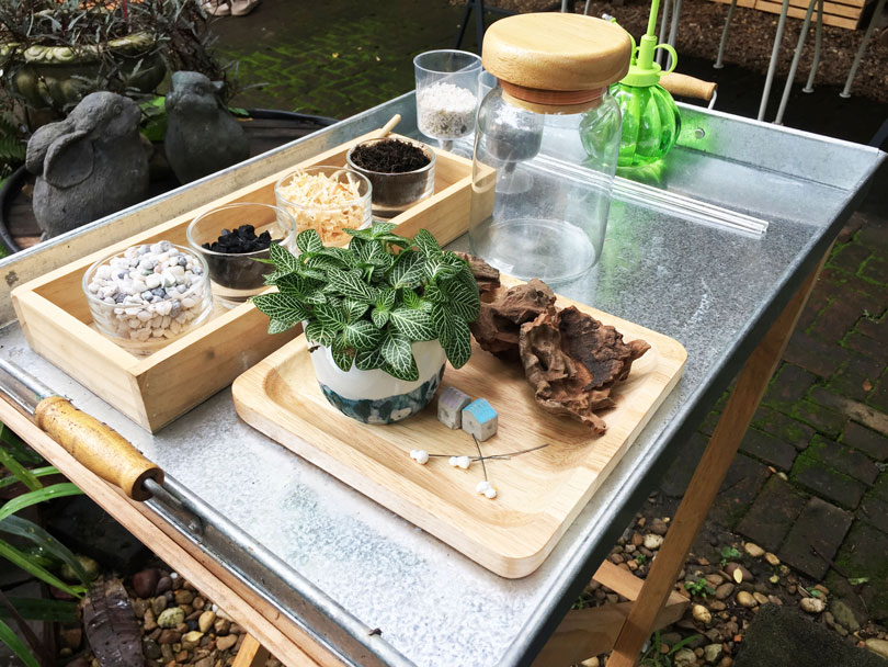 terrarium10