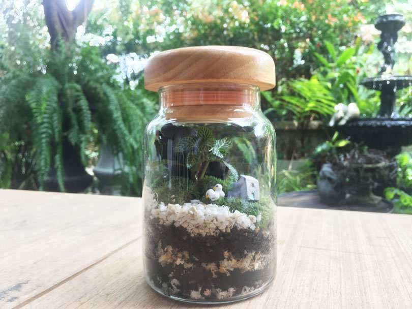 terrarium29