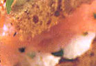Mini Sandwich