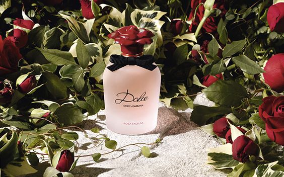 Dolce & Gabbana “Rosa Excelsa” น้ำหอมกลิ่นบริสุทธิ์จากดอกกุหลาบสด ที่ถูกนำมาเป็นส่วนสำคัญของ Rosa Excelsa พร้อมกับการออกแบบและดีไซน์ขวดที่เป็นเอกลักษณ์ ฝาของขวดน้ำหอมมีความพิเศษด้วยวิธีการแกะสลักเป็นรูปทรงดอกกุกลาบกลีบสีแดงเข้ม ที่กำลังเบ่งบานอย่างสดชื่น ภายในขวดเลือกนำเสนอน้ำหอมสีชมพูผ่านขวดแก้วพร้อมลายเซ็นชื่อของ Dolce เพื่อแสดงความสง่างามและละเอียดอ่อน