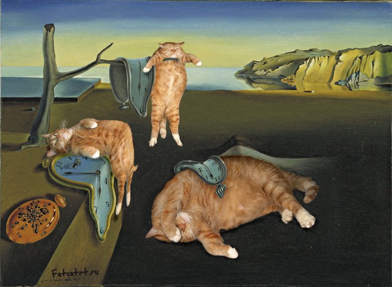 ศิลปะและแมว Svetlana Petrova