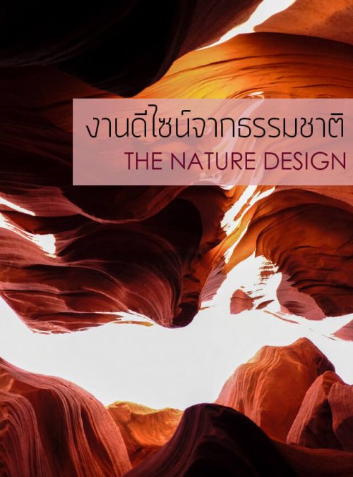 cover-nature-desing