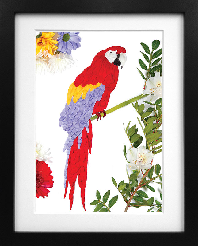ศิลปะกลีบดอกไม้ Scarlet Macaw