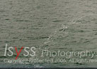 Halong Bay : Photo by Isyss