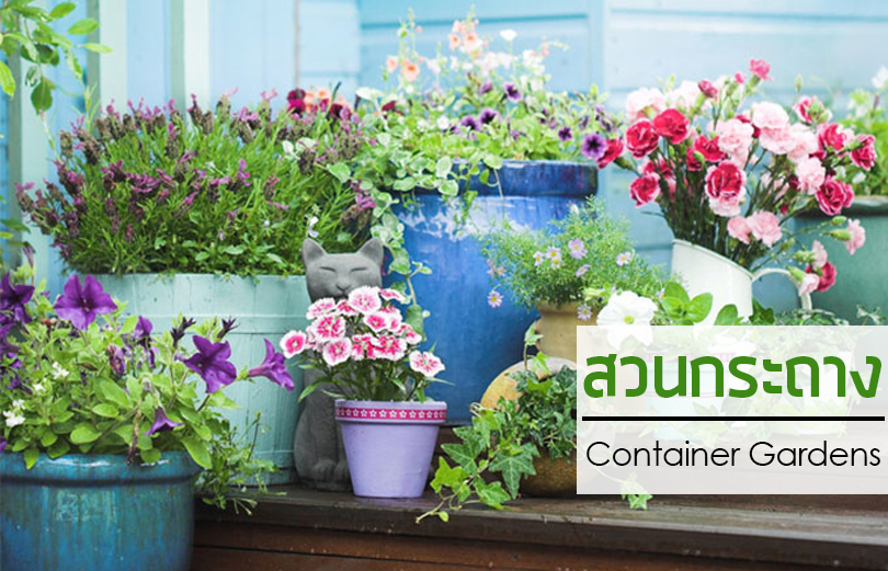 home container gardens