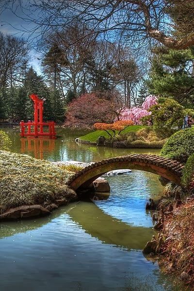 japan garden10